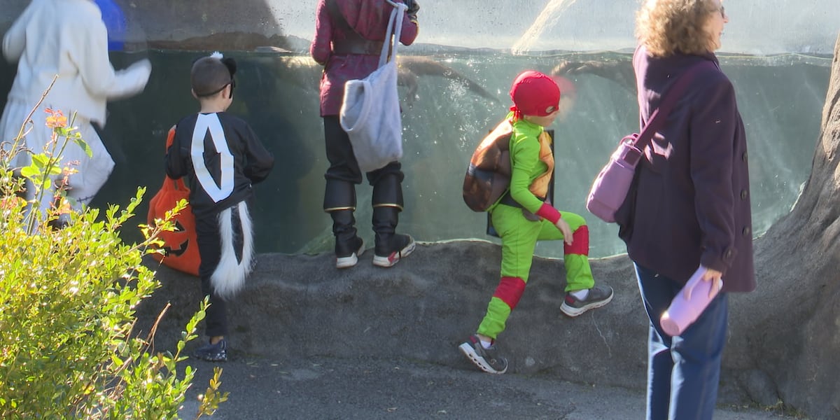 Boo at the Zoo underway at Zoo New York
