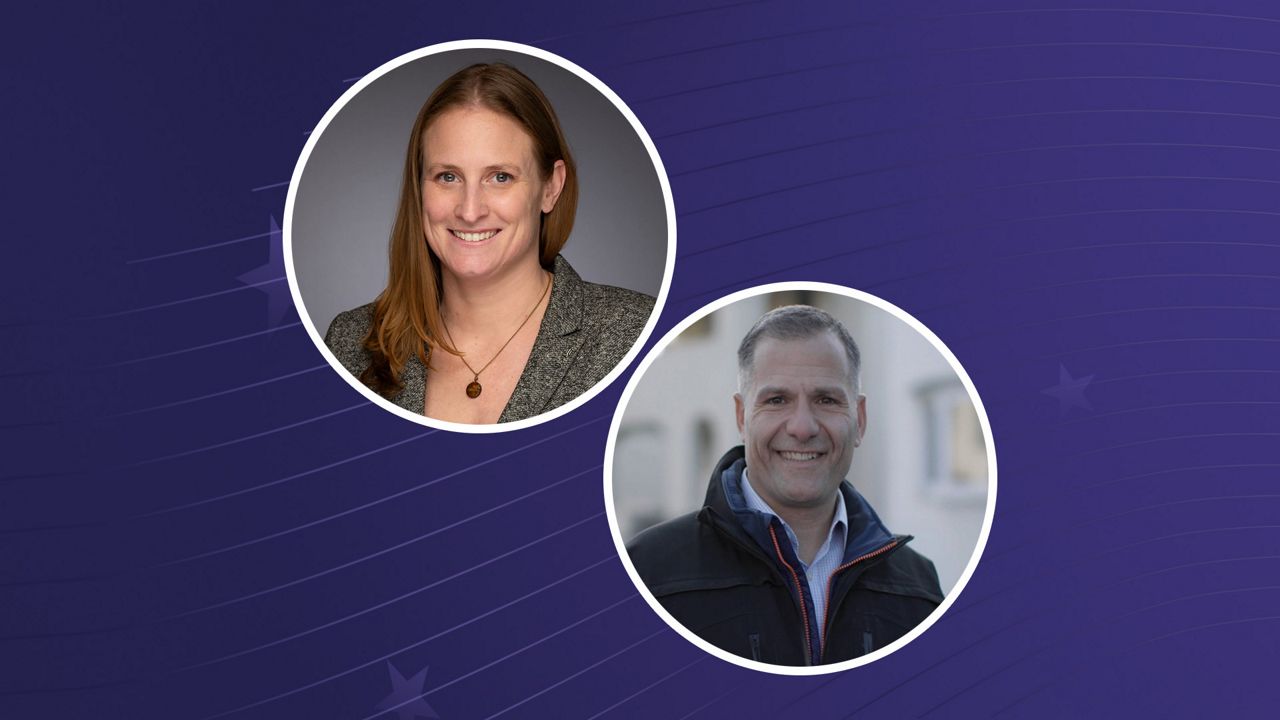 Republican Marc Molinaro and Democrat Janet Tweed