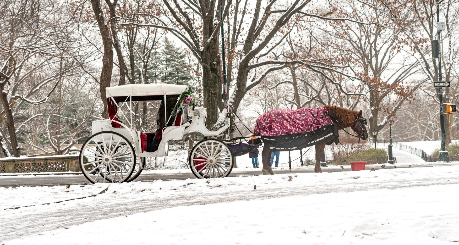 New York City to ban Central Park’s horse-drawn carriages