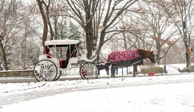 New York City to ban Central Park’s horse-drawn carriages