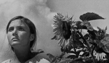 Between Earth and Sky | Sophie Pinkham