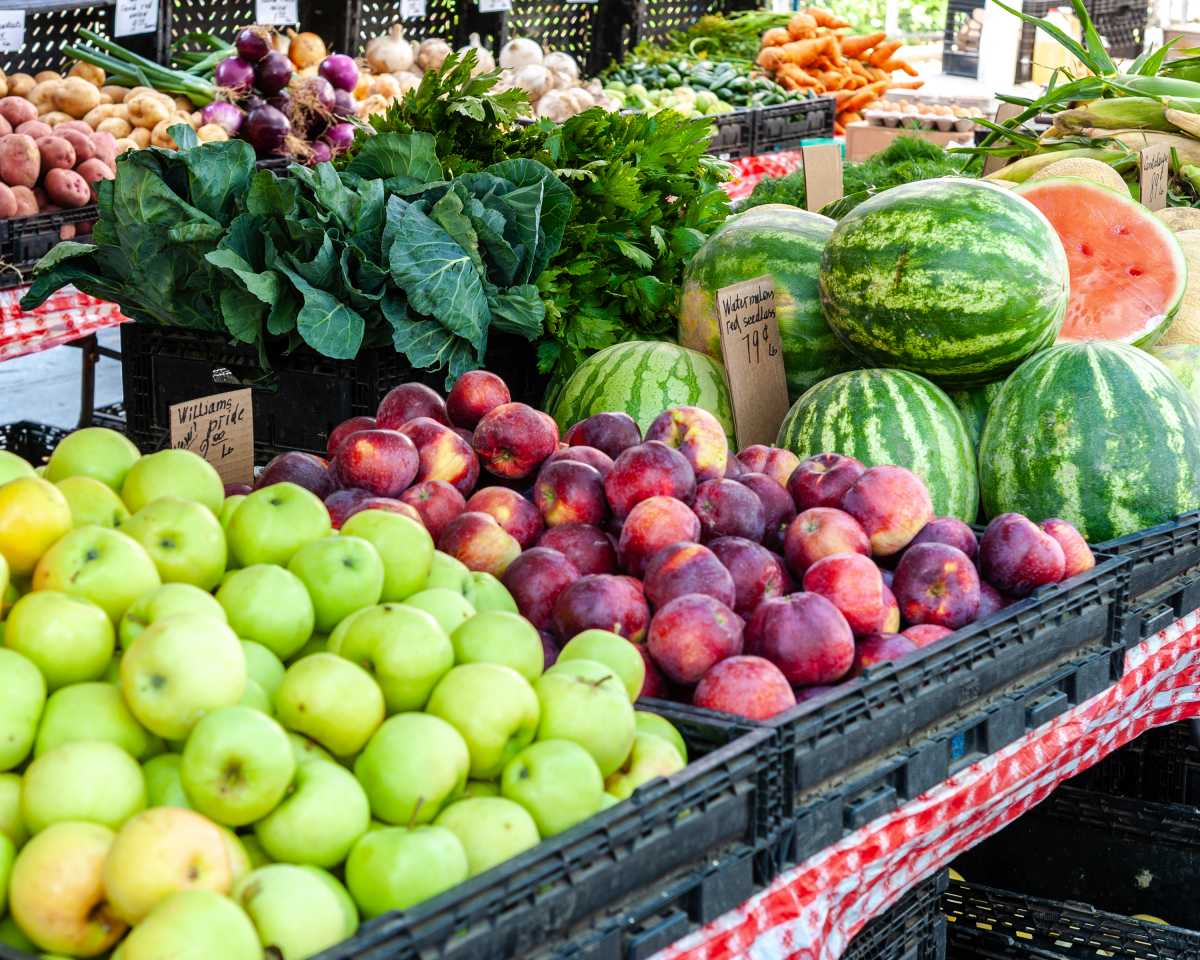 Brooklyn Beep launches $4,000 grant to expand nutrition education and combat food insecurity • Brooklyn Paper