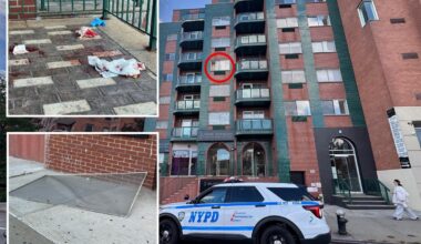 Boy, 2, plunges from NYC building days after alleged shove killed Bronx mom, injured baby