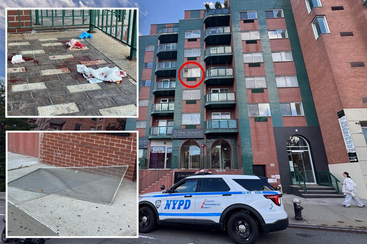 Boy, 2, plunges from NYC building days after alleged shove killed Bronx mom, injured baby