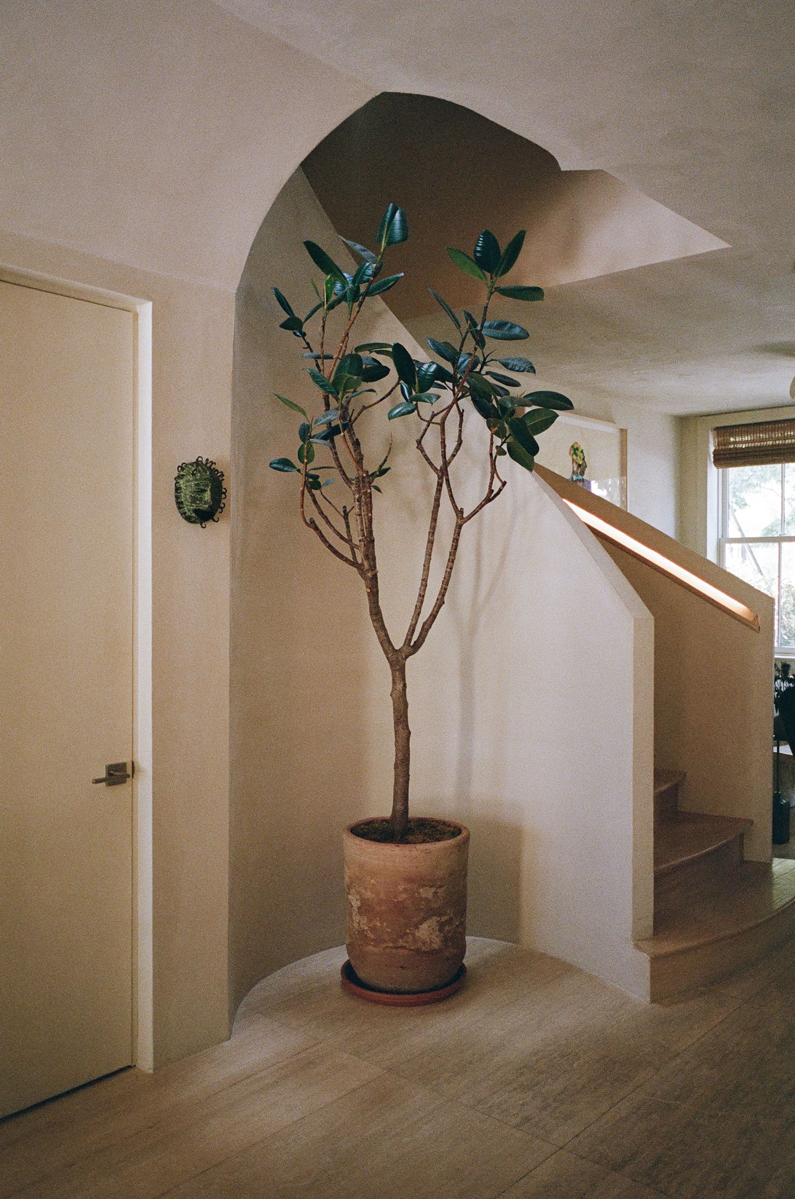 Image may contain Plant Potted Plant Architecture Building House Housing Staircase Indoors and Interior Design