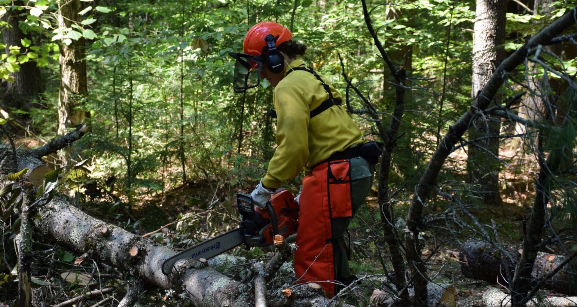 DEC announces graduation of 17 New York State forest rangers