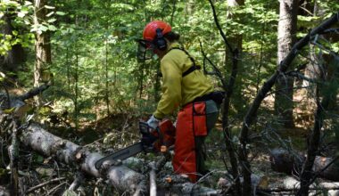 DEC announces graduation of 17 New York State forest rangers