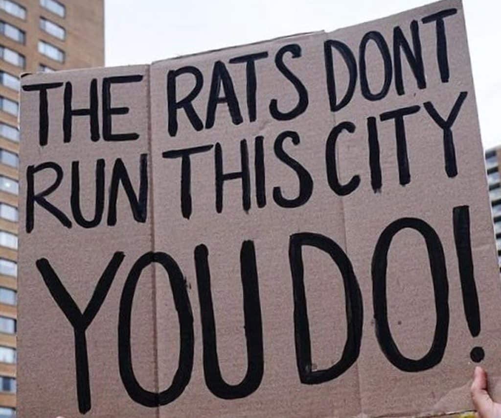 Rat marathon sign