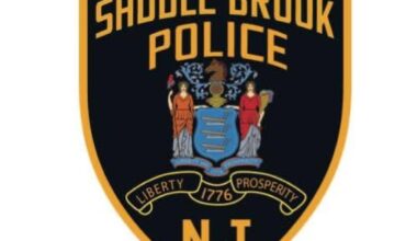 Off-duty police captain hurt trying to stop thieves who stole his dad’s car – NBC New York
