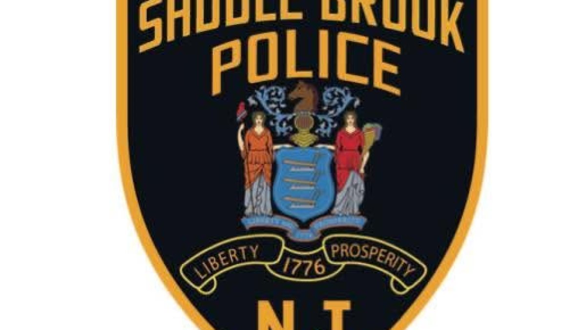 Off-duty police captain hurt trying to stop thieves who stole his dad’s car – NBC New York
