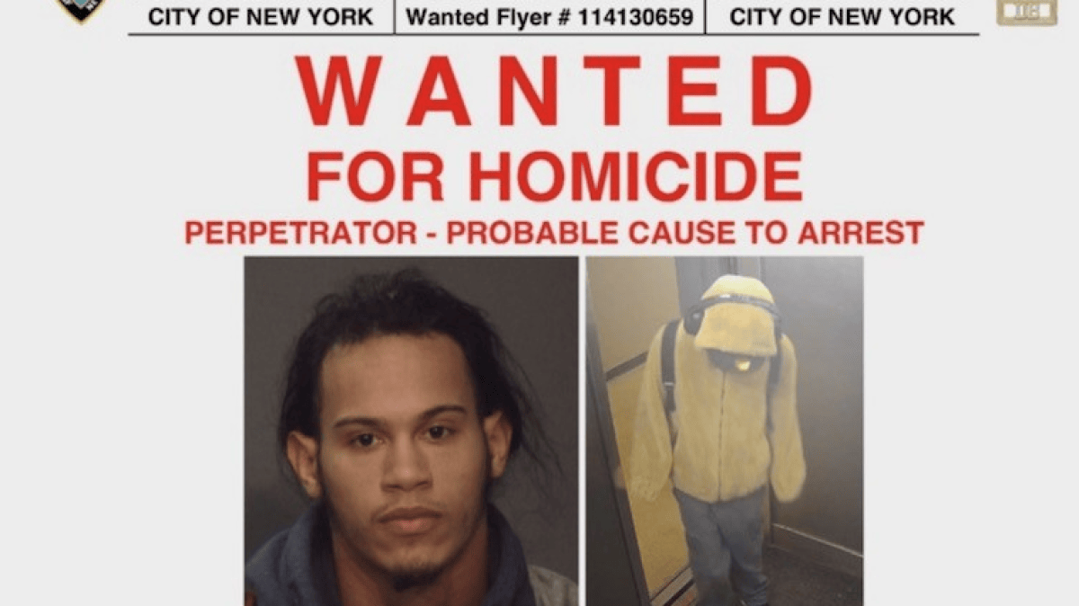 Suspect who pushed mom off Bronx building identified – NBC New York