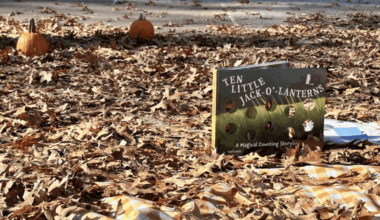 De Matti’s Pumpkin Patch | To Do NYC