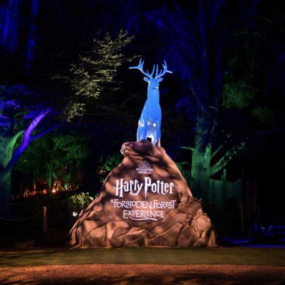 The World of Harry Potter is Coming to Life in Westchester