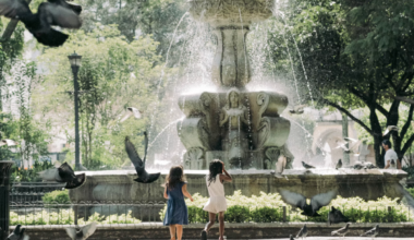 This is NYC’s most affordable neighborhood, according to a new study — with 3-bedroom apartments for $2,666 a month near the Bronx Zoo and New York Botanical Garden