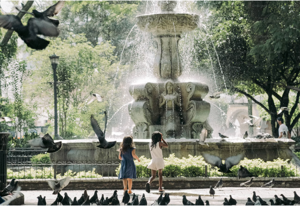 This is NYC’s most affordable neighborhood, according to a new study — with 3-bedroom apartments for $2,666 a month near the Bronx Zoo and New York Botanical Garden
