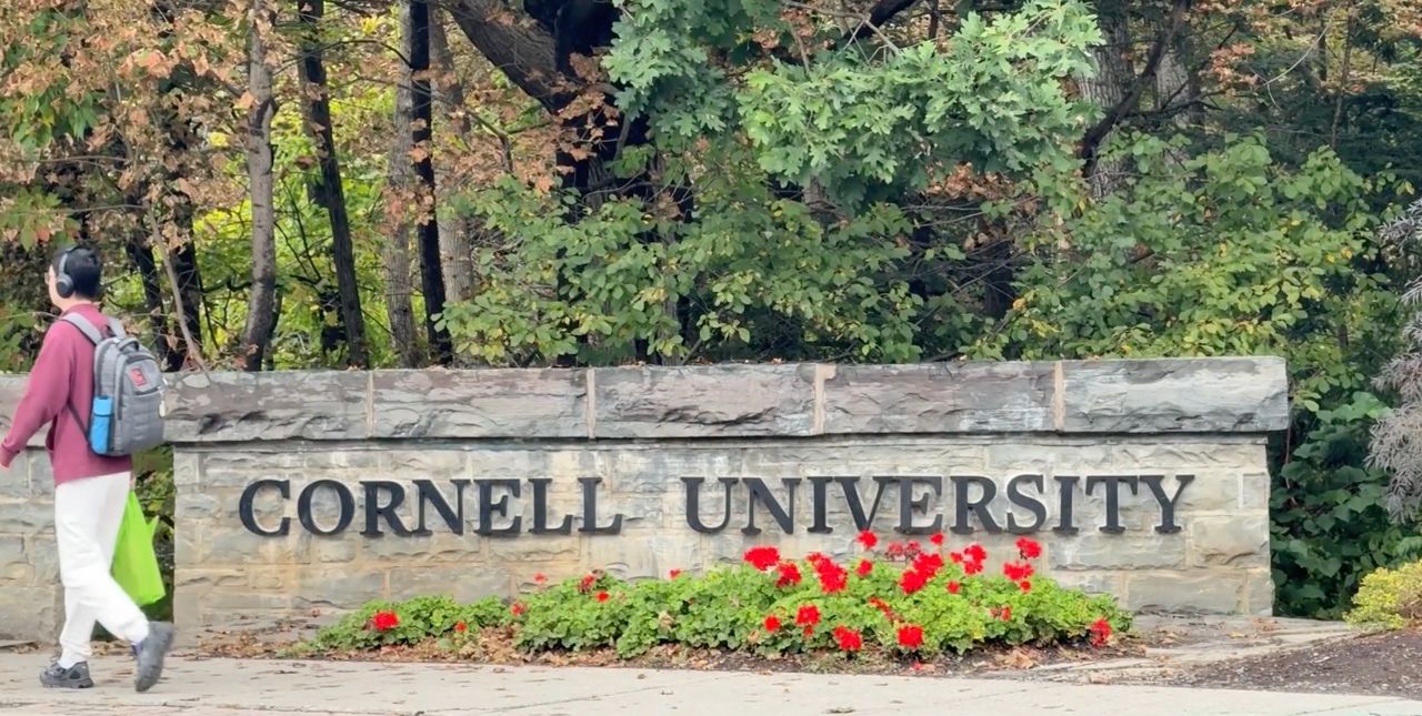 Cornell rape lawsuit highlights strain on crisis centers