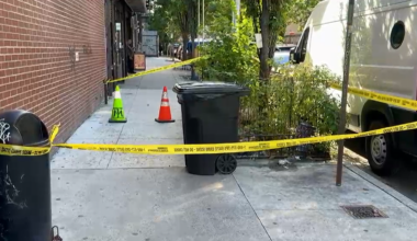 News 12 | Bronx | Man Stabbed To Death In Fordham Heights