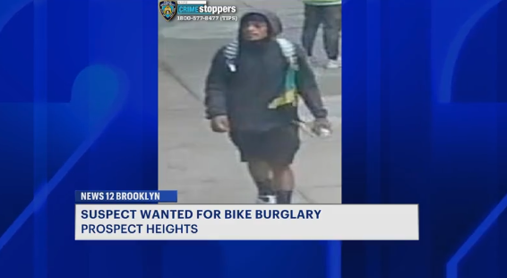 News 12 | Brooklyn | Residential Building Burglarized In Prospect Heights