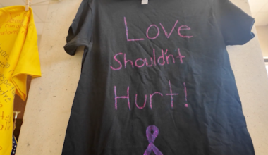 News 12 | Bronx | Push For Savannahs Law In Ny Aims To Create Domestic Violence Registry