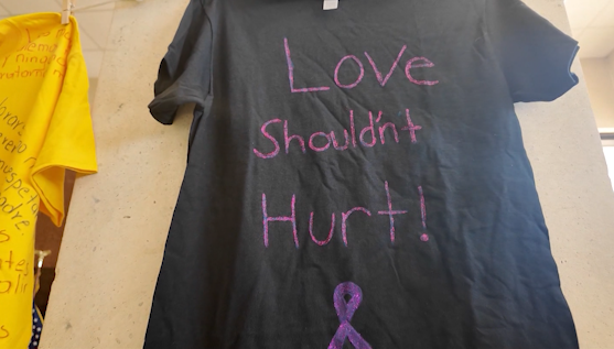 News 12 | Bronx | Push For Savannahs Law In Ny Aims To Create Domestic Violence Registry