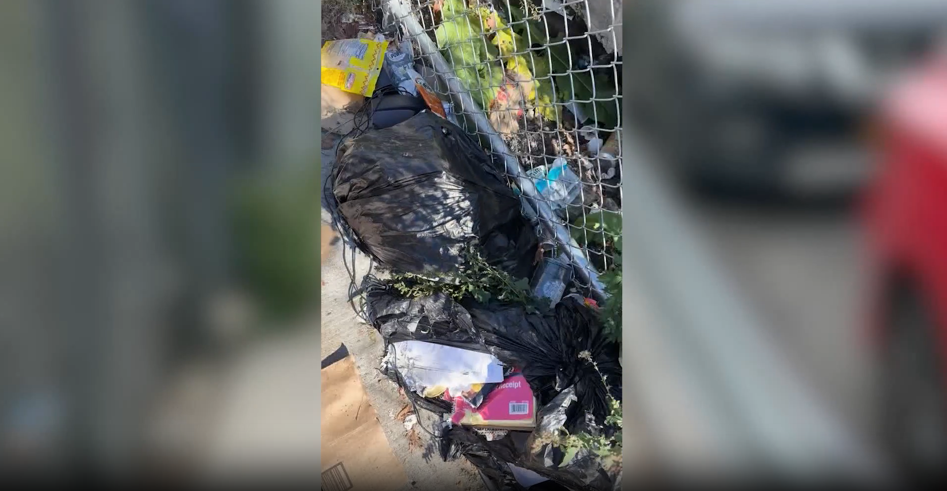 News 12 | Bronx | Bronx Residents Call For More Maintenance For Sidewalk Area Near Multiple Schools