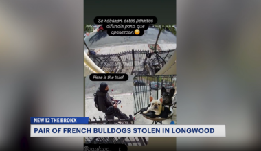 GRAND LARCENY police Monitor copy