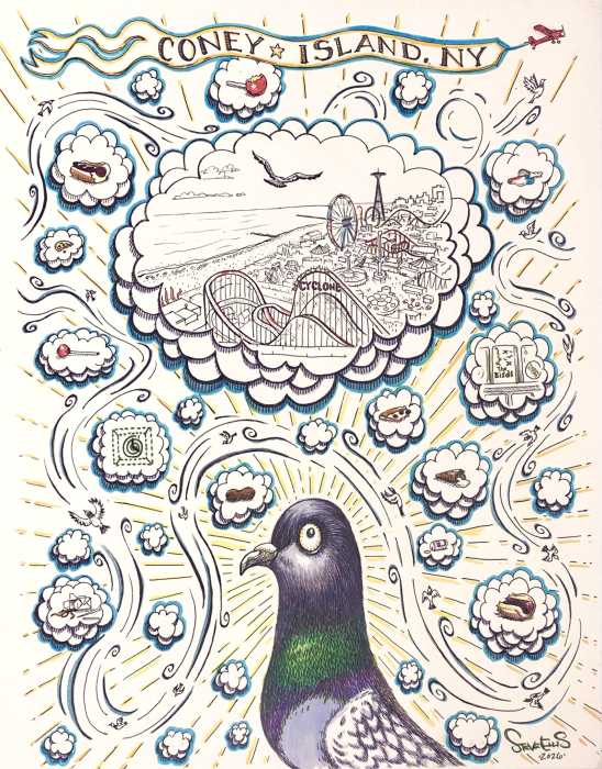 pigeon coney island drawing