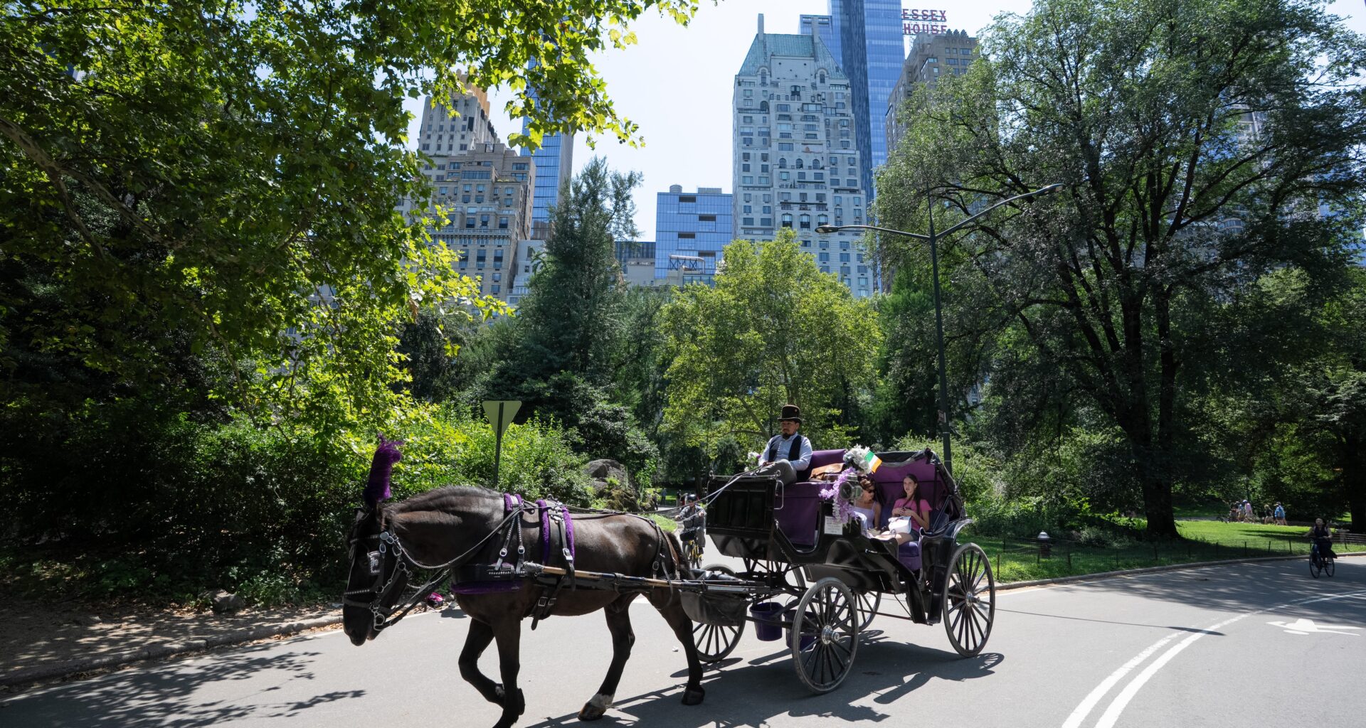 NYC to ban Central Park horse carriages under deal between Mamdani, Menin