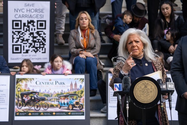 New York City Council member Vickie Paladino speaks during a press conference outside New York City Hall on Wednesday, Oct. 21, 2026 in Manhattan, New York. (Barry Williams/ New York Daily News)