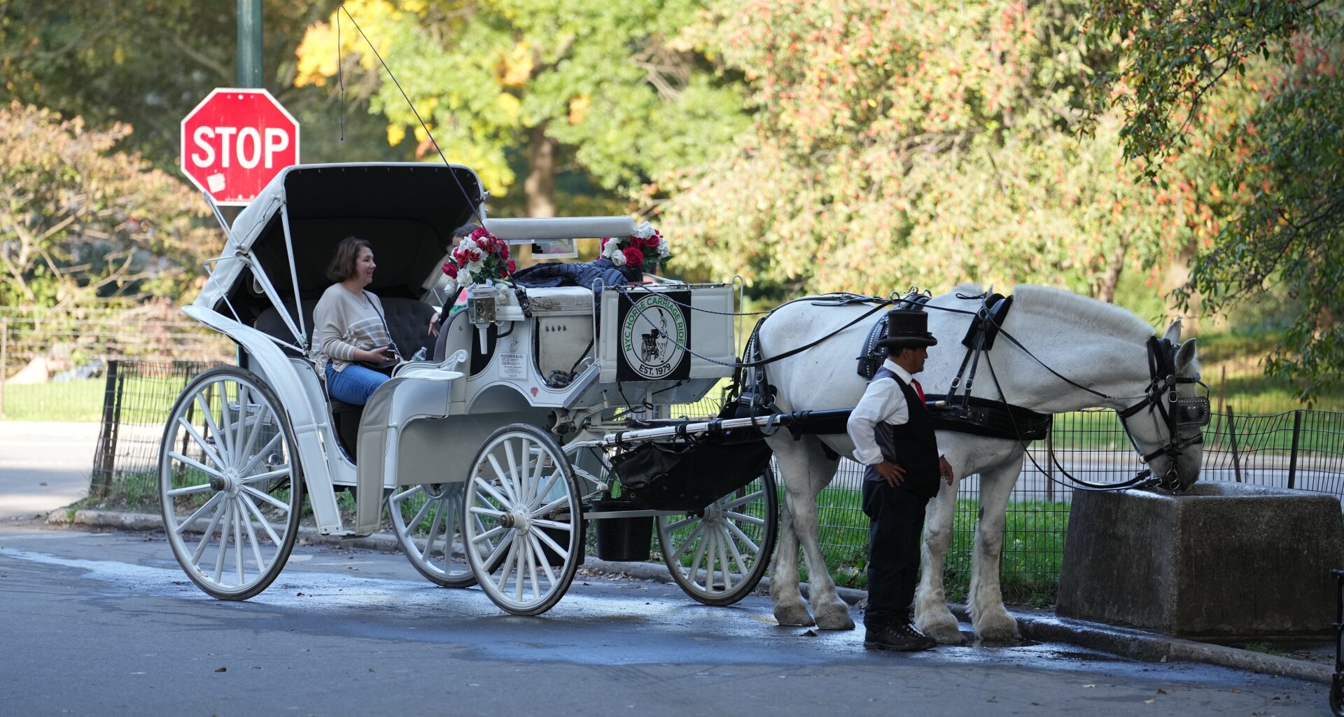 Al Sharpton: It's time to phase out horse carriages