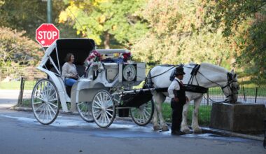Al Sharpton: It's time to phase out horse carriages