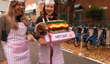 Bark or treat! Tompkins Square Halloween Dog Parade – NBC New York