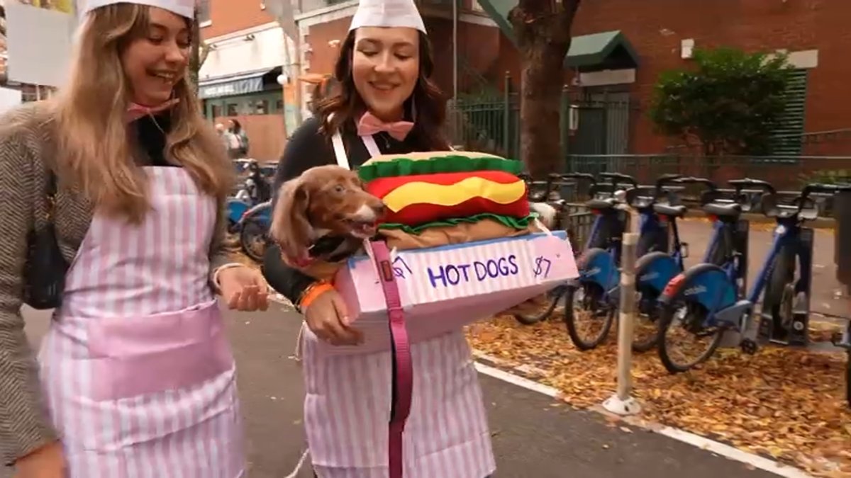 Bark or treat! Tompkins Square Halloween Dog Parade – NBC New York