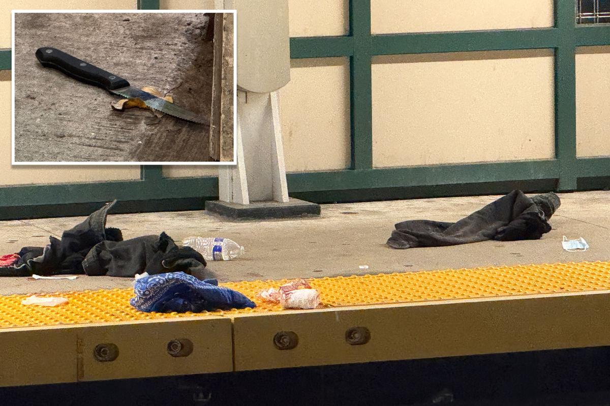 Madman fatally stabs 59-year-old straphanger during argument on NYC subway train: police