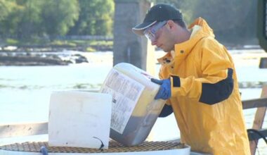 Sea lamprey treatment prompts water advisory in Northern New York