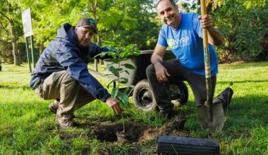 American Chestnut Returns to Bronx Zoo After a Century