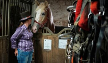 Facing a ban on horse-drawn carriages, Central Park’s drivers fear for their livelihoods