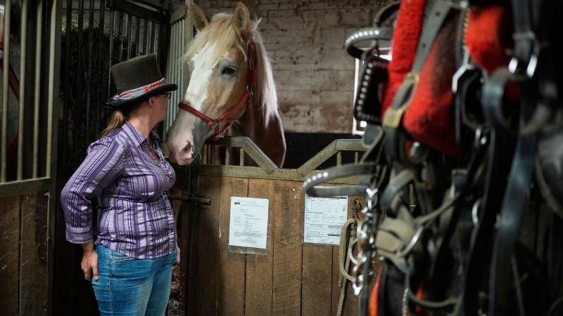 Facing a ban on horse-drawn carriages, Central Park’s drivers fear for their livelihoods