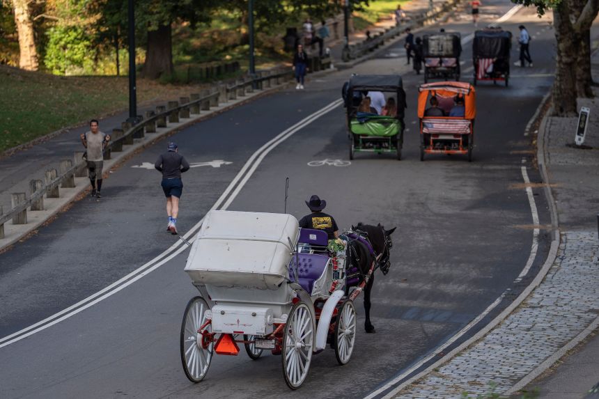 A horse-drawn carriage takes passengers for a loop through Central Park, Wednesday, October 14, 2026, in New York.