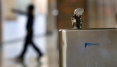 Lead contamination in N.Y. schools persists