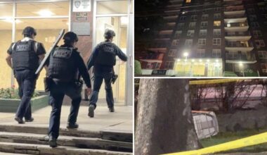 Woman dies, baby critically injured after they were allegedly thrown from Bronx apartment block: reports