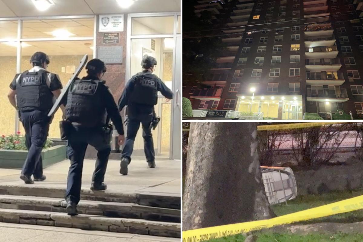 Woman dies, baby critically injured after they were allegedly thrown from Bronx apartment block: reports