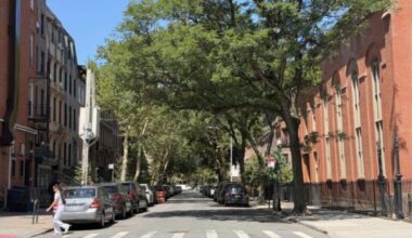 BoCoCa neighborhood news | Brooklyn Bridge Parents