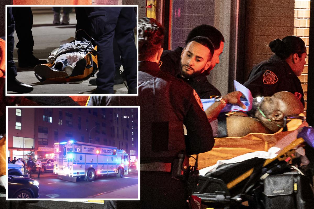 Jealous NYC geriatric shoots 70-year-old girlfriend, younger boyfriend as elderly love triangle turns violent: sources