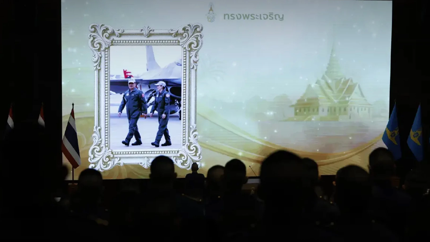 Air chief links Queen’s first solo Gripen flight on October 8 to troop morale
