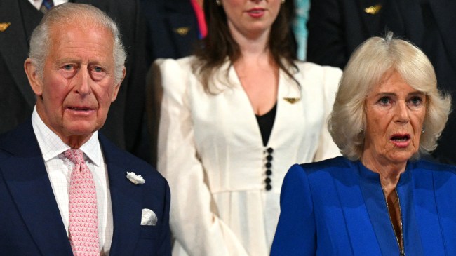 Queen Camilla's Response to Princess Diana's Brother's Book