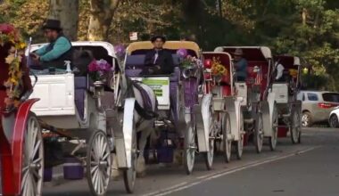NYC horse carriage industry expected to shutter at NYC Council today – NBC New York