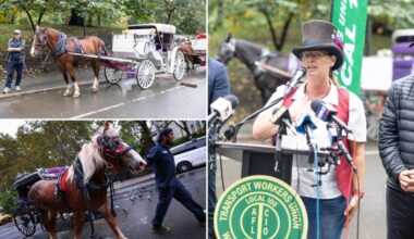 New York horse-drawn carriage drivers demand industry ban reversal