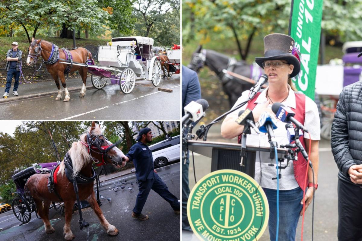 New York horse-drawn carriage drivers demand industry ban reversal