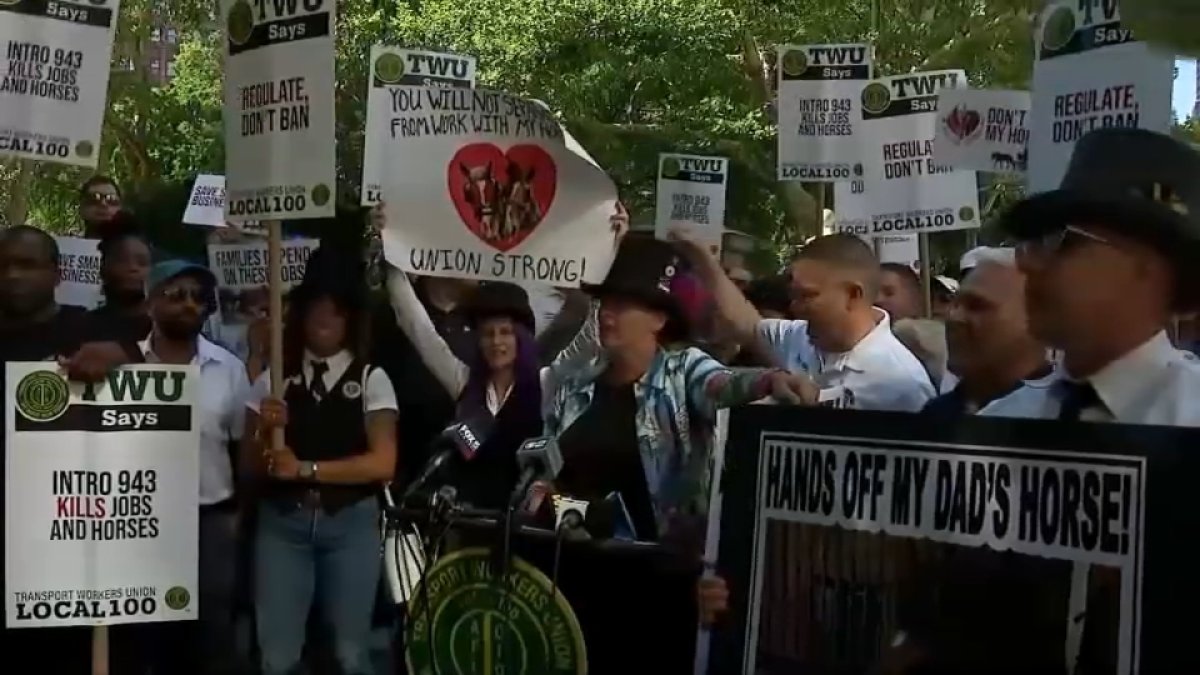What happens to horses after NYC ban vote? – NBC New York